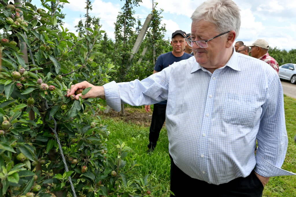 mid 25608264 2025 06 08 215113