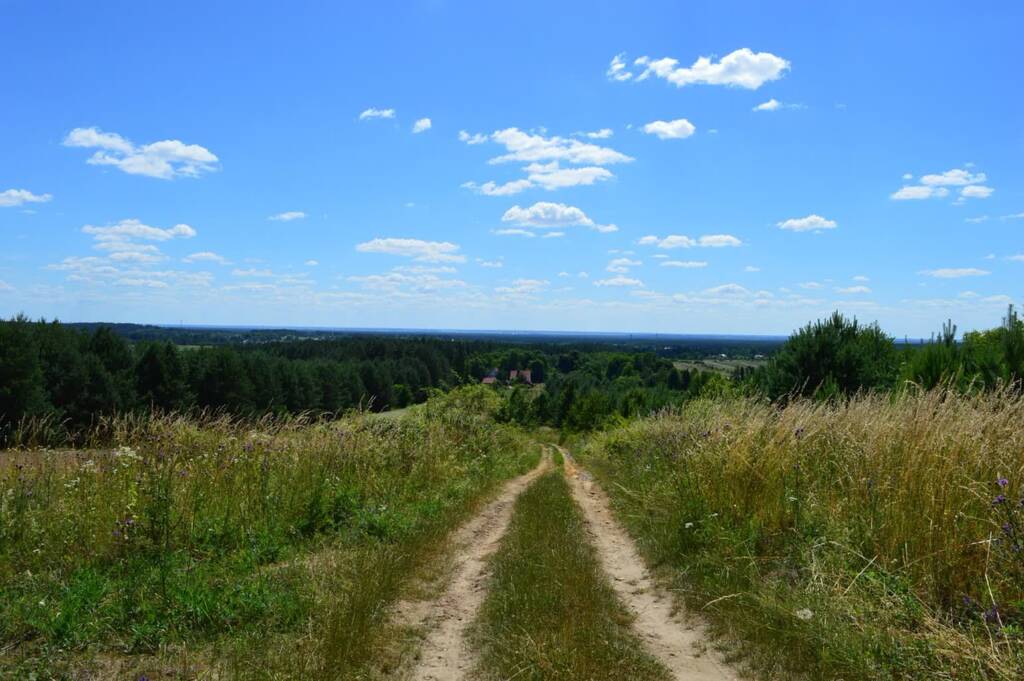 mite 5050070 1280 2025 06 17 213700