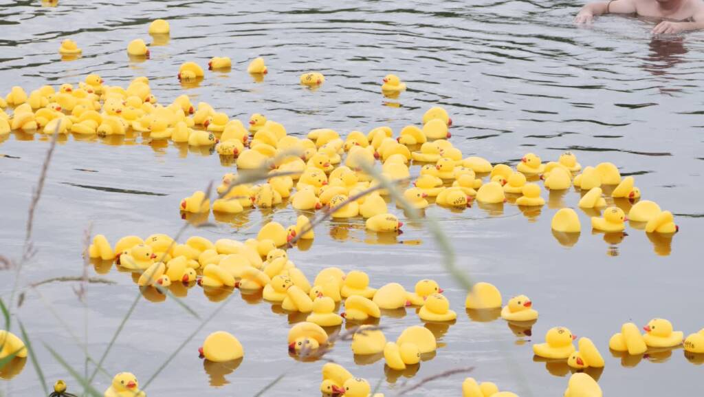 p1200340 2023 06 25 173451 2025 06 20 155524