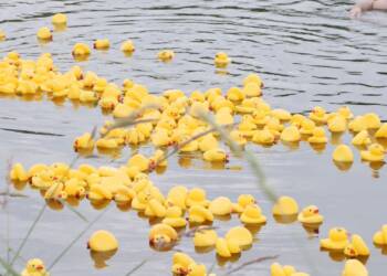 p1200340 2023 06 25 173451 2025 06 20 155524