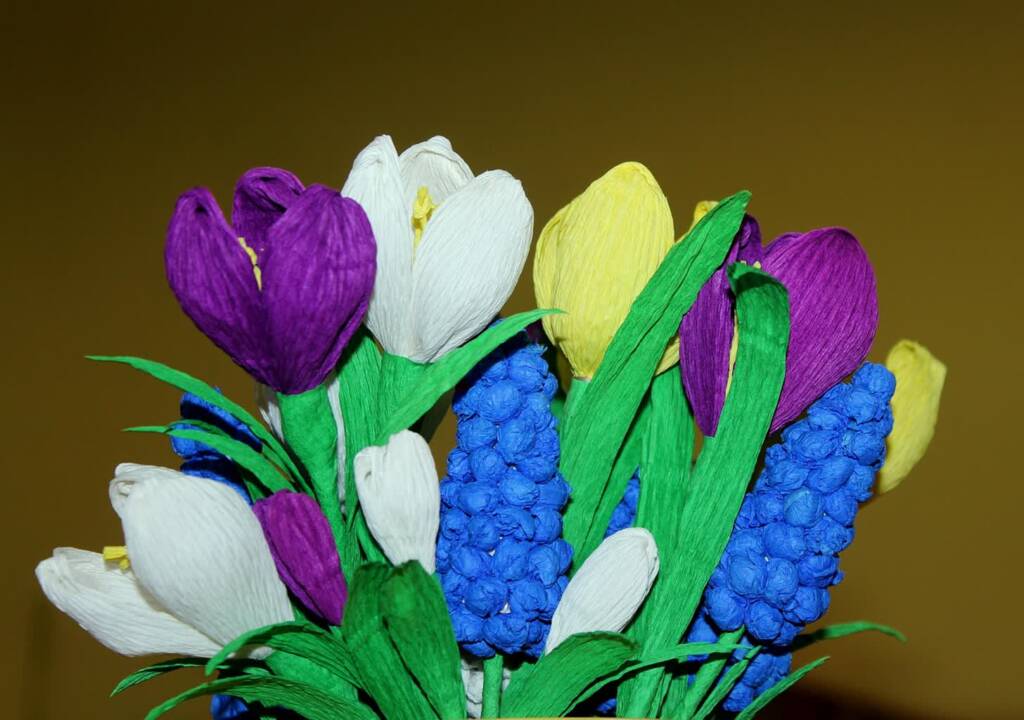 paper flowers 3983665 1280 2025 06 05 093531