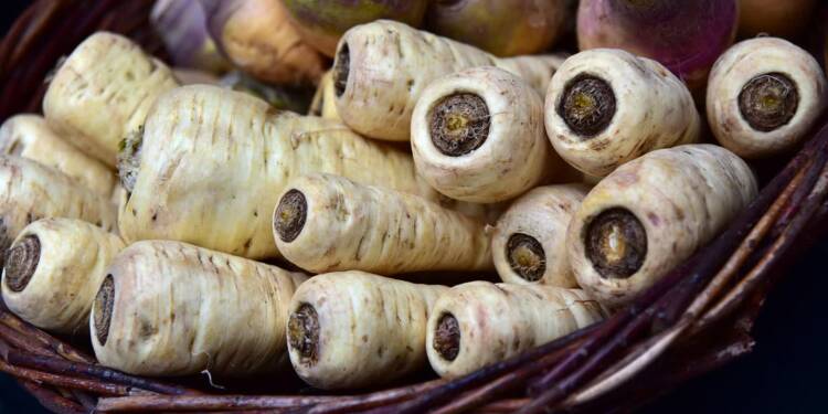 parsnips 3860993 1280 2025 06 20 102144