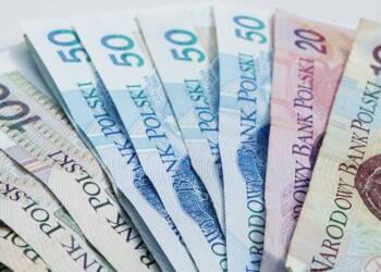 pexels gosia k 23254118 19707711 2025 06 05 065703