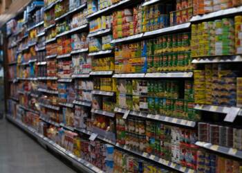 pexels hhaa 16211537 2025 06 04 103018