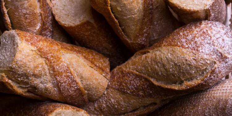 pexels ivan j long 578165 1387075 2025 06 07 142747