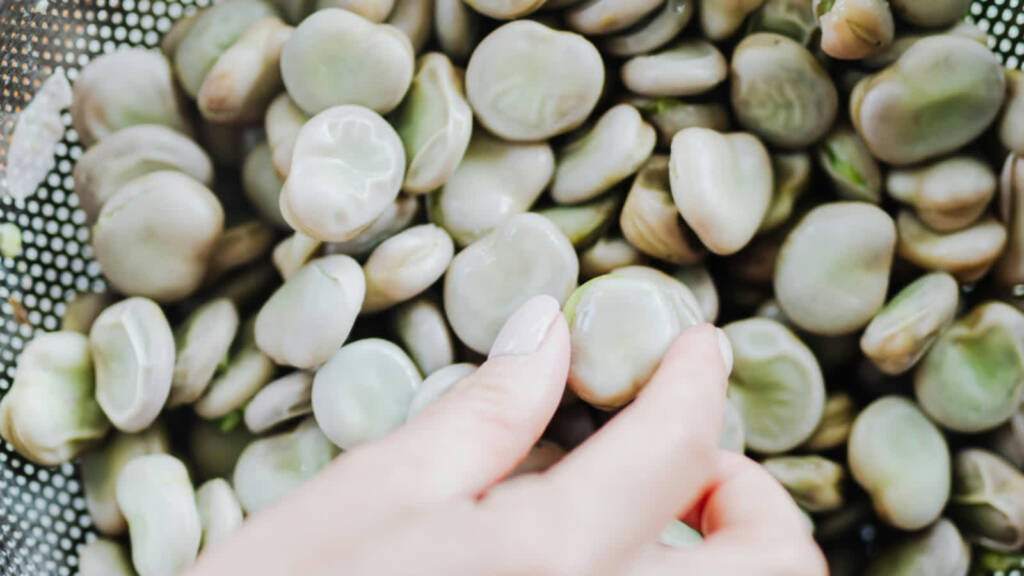 pexels karolina grabowska 4968570 2025 06 27 075406