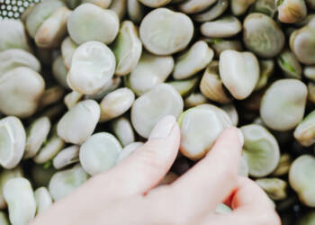 pexels karolina grabowska 4968570 2025 06 27 075406