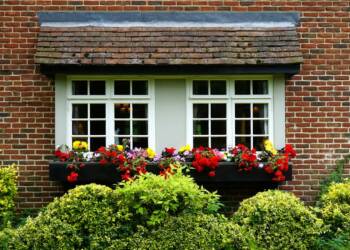 pexels mikebirdy 120173 2025 06 27 123841