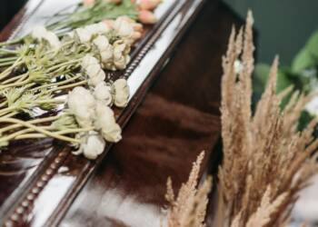 pexels pavel danilyuk 7317674 2025 06 03 125400