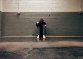 pexels pixabay 236151 2025 06 03 094756