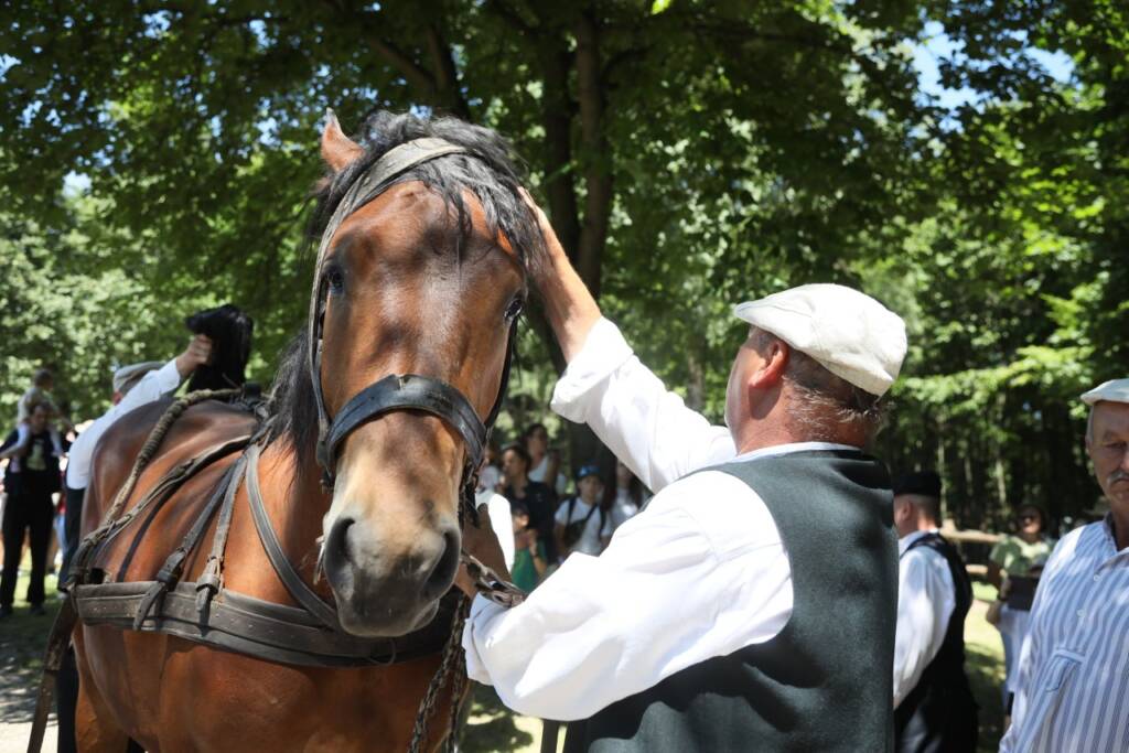 pm jarmark 160624 009 2025 06 08 072505