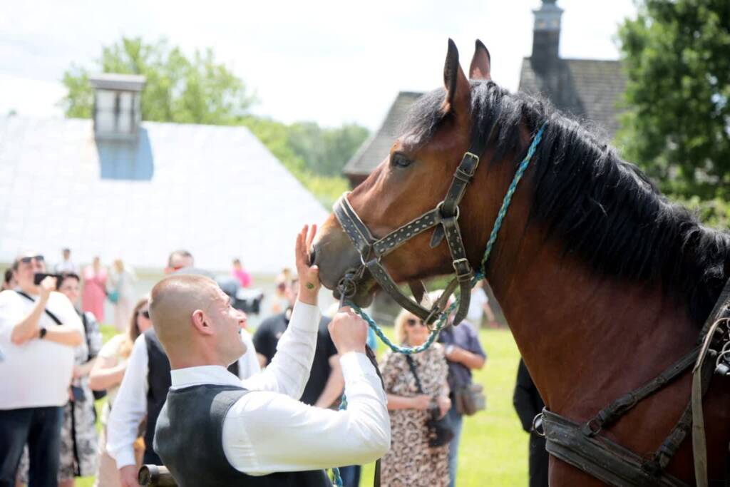 pm konski 080525 001 2025 06 08 150311