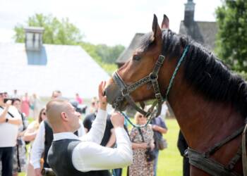 pm konski 080525 001 2025 06 08 150311