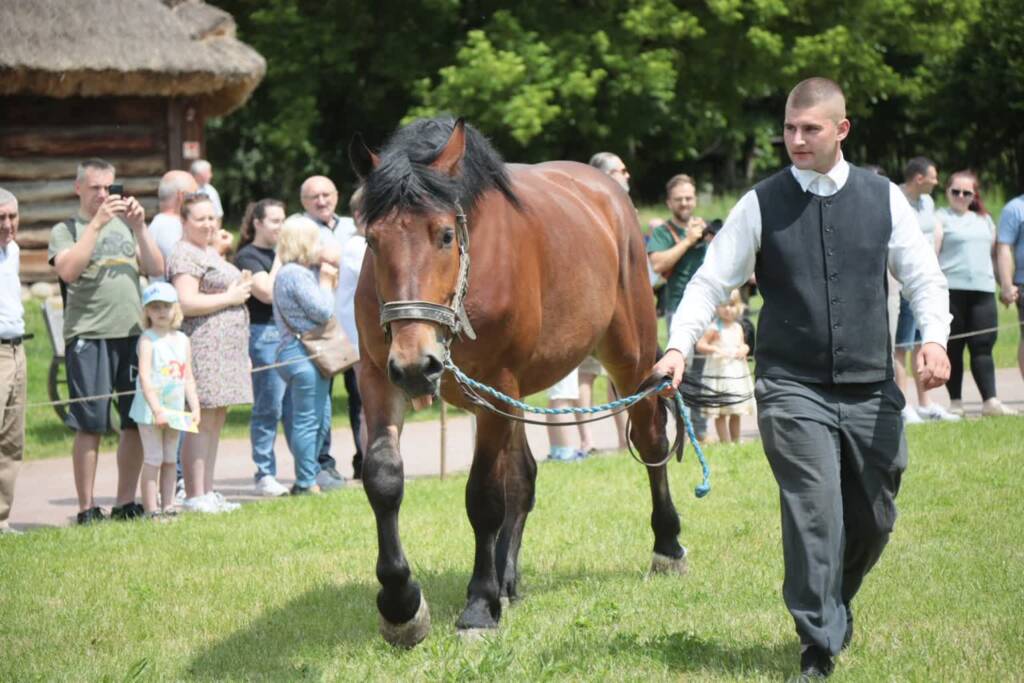 pm konski 080525 022 2025 06 08 173309