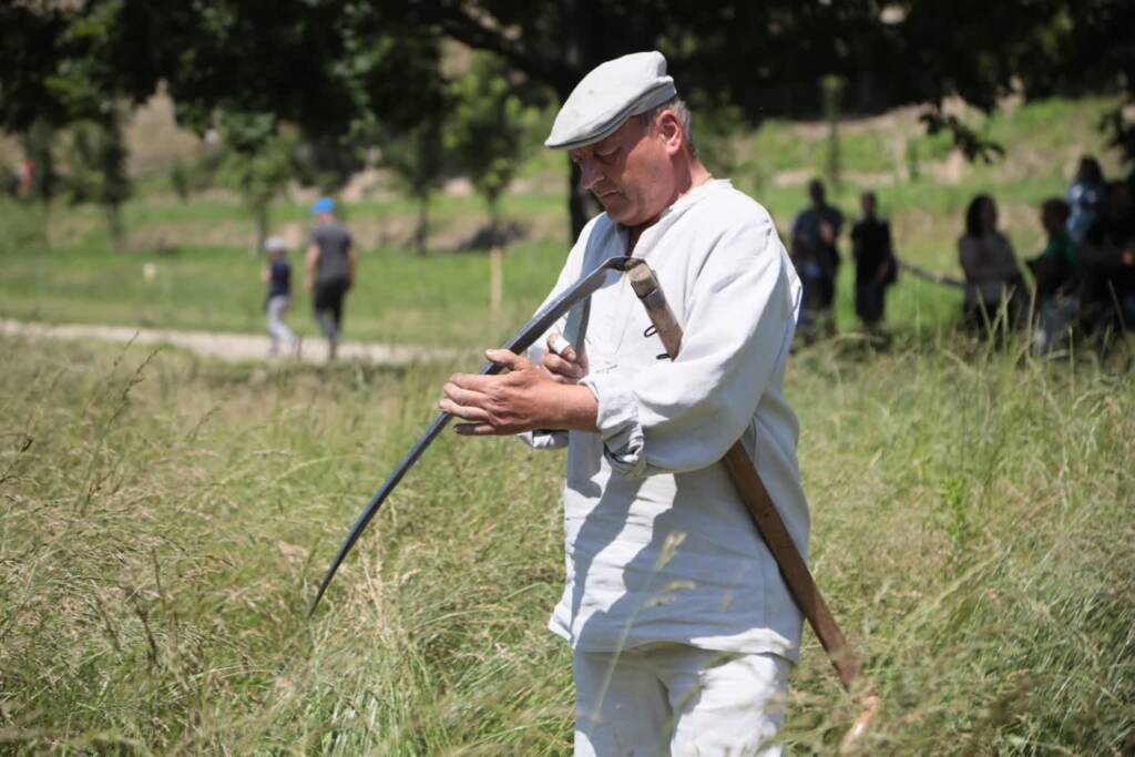 pm sianokosy 150625 012 2025 06 15 173552