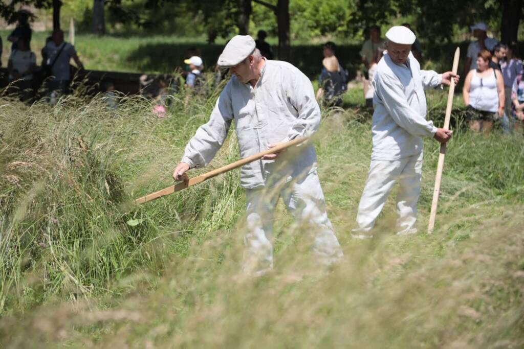 pm sianokosy 150625 015 2025 06 15 165819