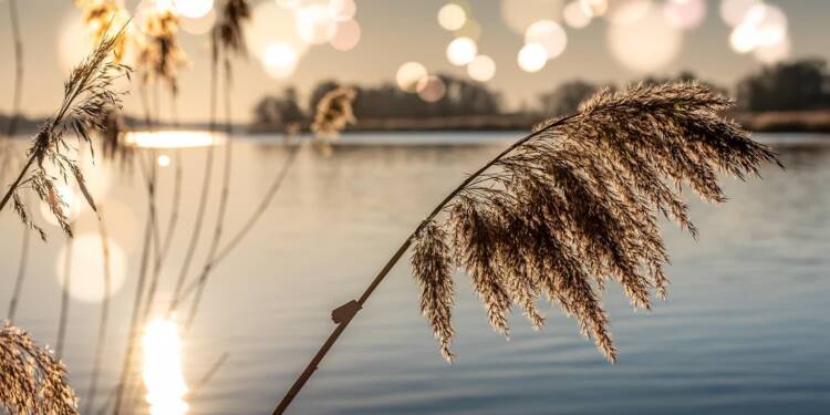 river 6021951 1280 2025 06 01 112922