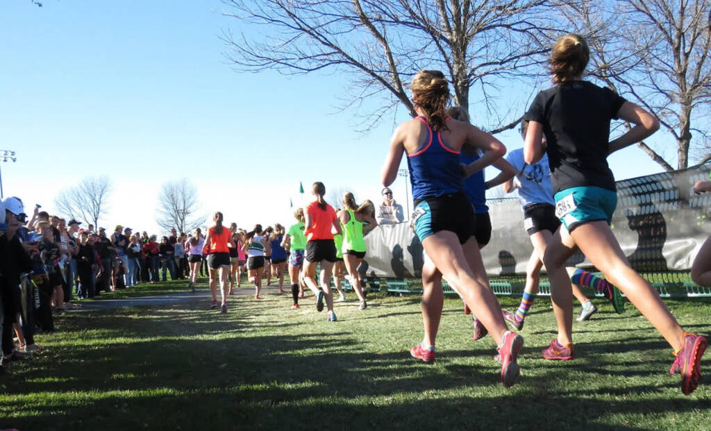 runners 2365067 1280 2025 06 14 093831