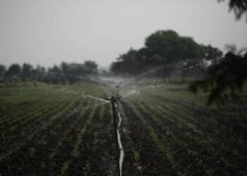 sprinkler 7064726 1280 2025 06 20 172004