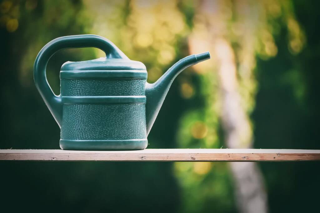 watering can 5202988 1280 2025 06 13 104109