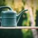 watering can 5202988 1280 2025 06 13 104109