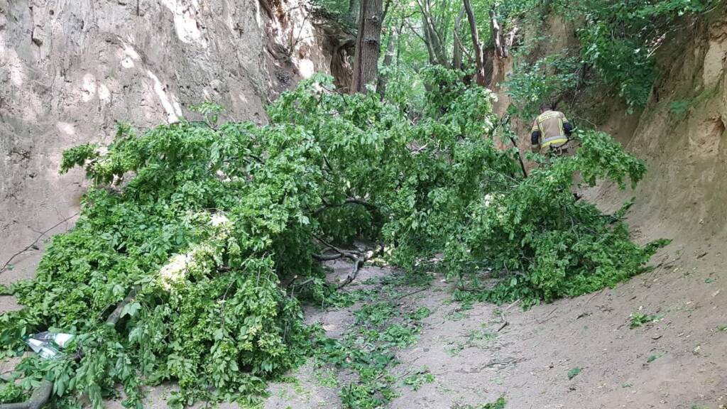 wawoz1 2025 06 11 194604