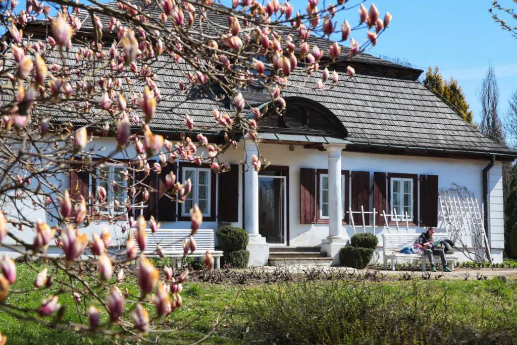 wiosnaskansen 130425 033 2025 06 01 074015