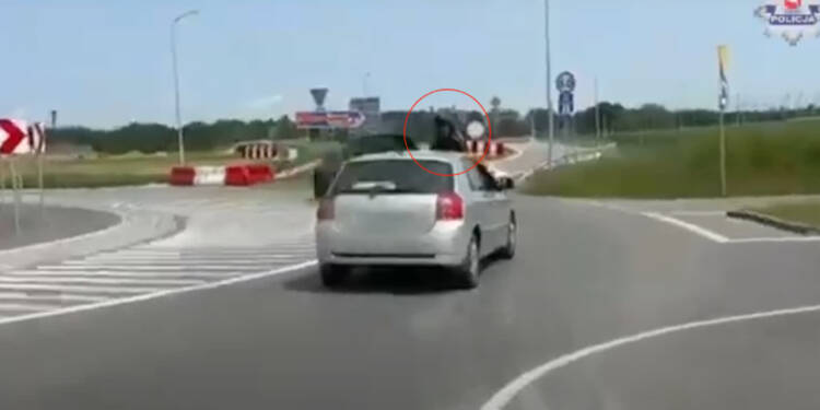 zjd 2025 06 03 132059