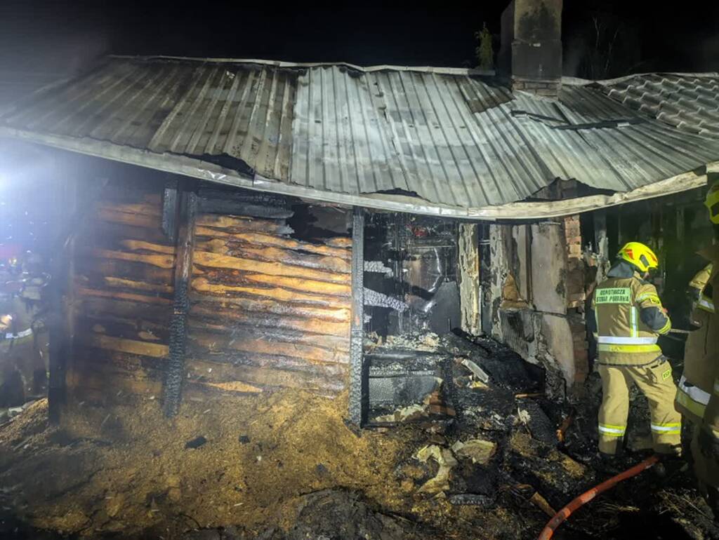 343 272561 2025 07 29 132633