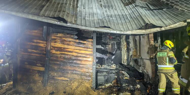 343 272561 2025 07 29 132633