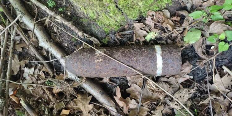 345 272380 2025 07 25 142516