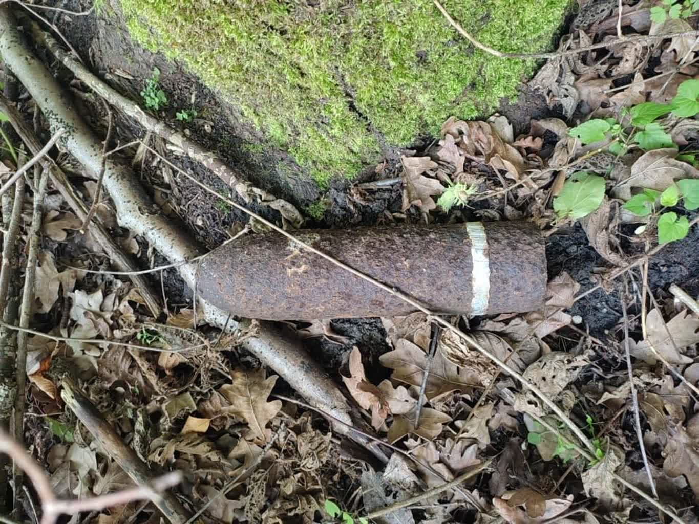 Szukał grzybów, znalazł… granaty