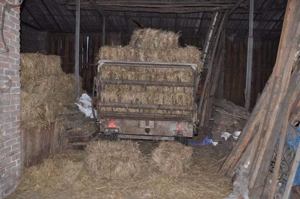 353 272430 2025 07 27 130635