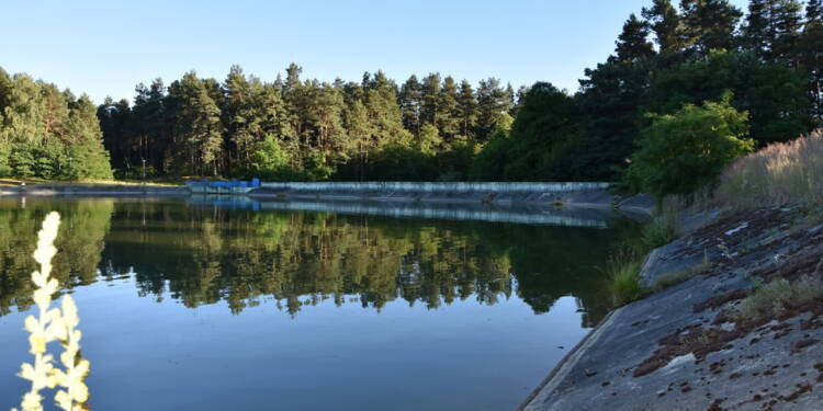 359 270623 2025 07 03 170831