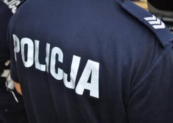 411 66844 2025 03 19 155544 2025 05 01 113141 2025 07 27 173341