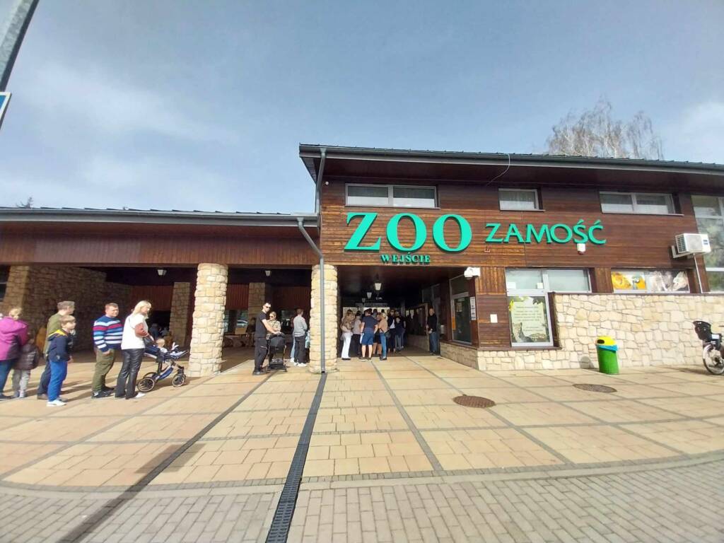 Pingwiny przyciągną turystów? Liczy na to prezydent 1 432951127 788306936531993 5820577766290639456 n 2025 07 16 221240