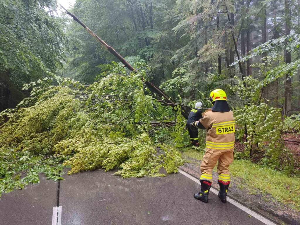 449684126 792707289712355 5458938371044572180 n 2024 07 08 063837 2025 06 24 064720 2025 07 08 060715