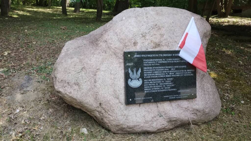 474947900 623748896687330 7782030984728281750 n 2025 07 20 070556