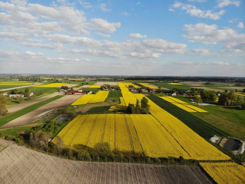 509424031 1208387954421762 1982075497000641505 n 2025 07 20 135935