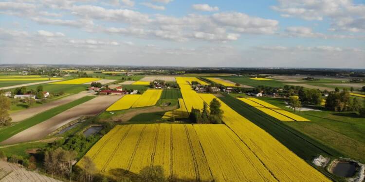 509424031 1208387954421762 1982075497000641505 n 2025 07 20 135935