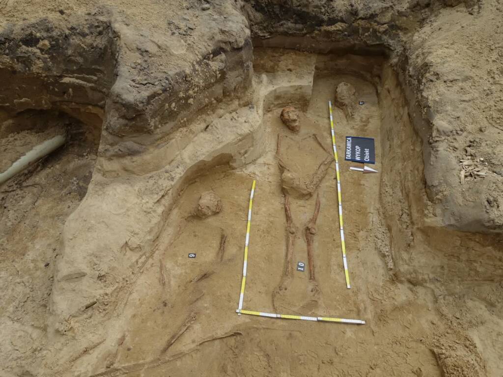 516602104 1046125810967761 180239605007938586 n 2025 07 11 115253