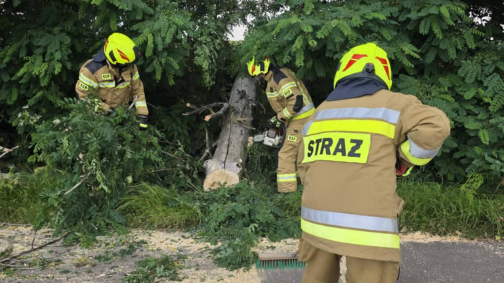 517245277 1030586322578566 2567931869246628991 n 2025 07 08 135226