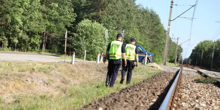 520261094 602150159624773 6345286394680544292 n 2025 07 22 124947