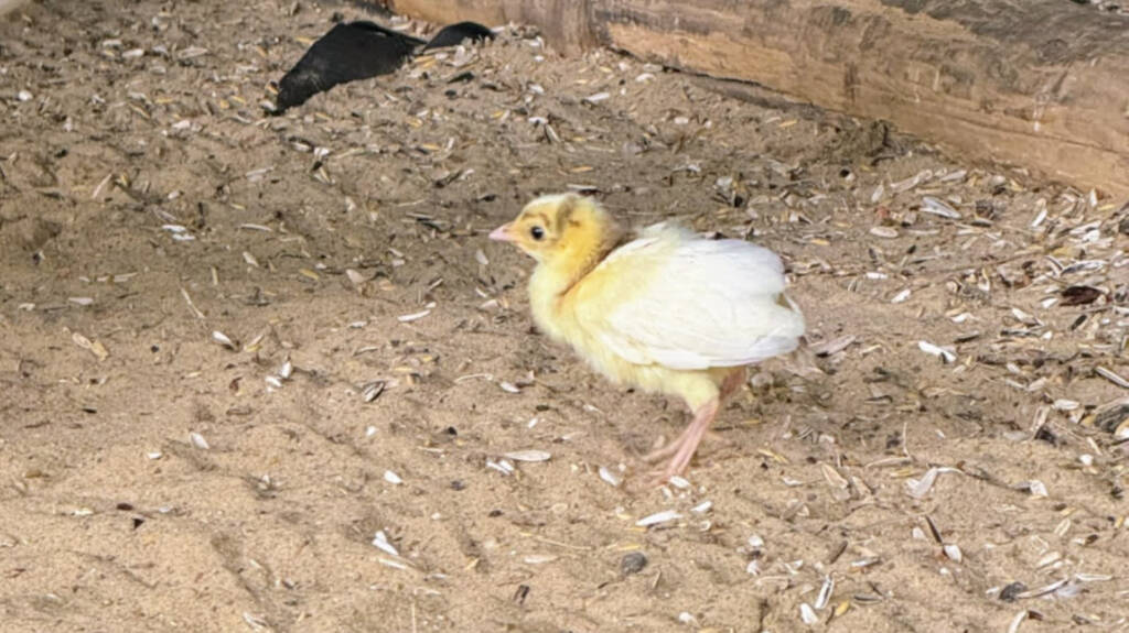 520560292 1142418414578309 6986568657801875387 n 2025 07 22 135640