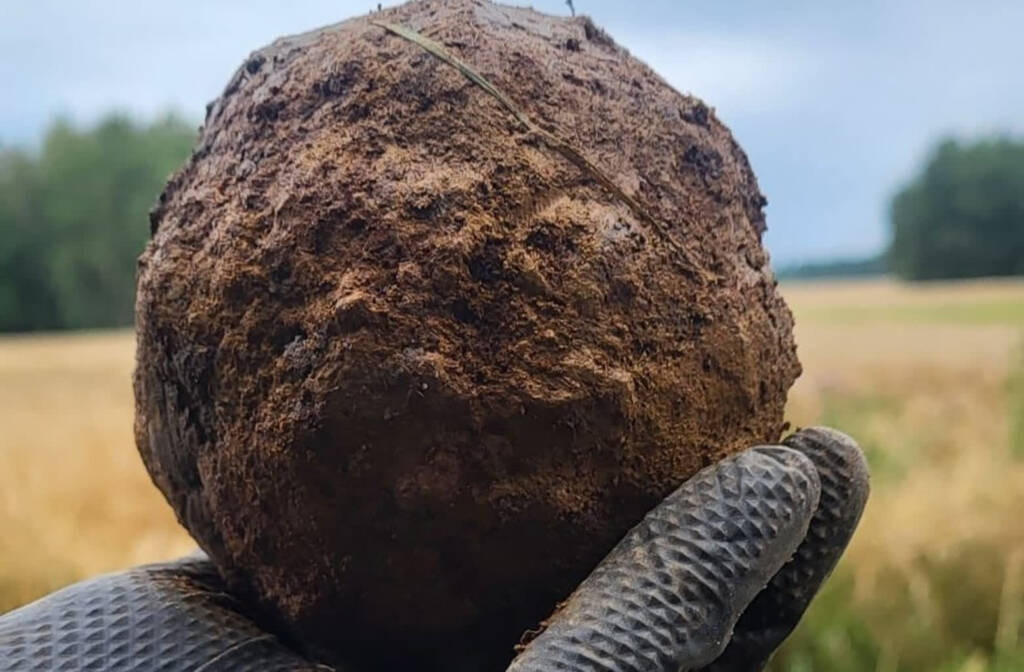 520784784 1055850203328655 2795827392523424035 n 2025 07 24 123744