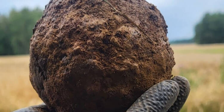 520784784 1055850203328655 2795827392523424035 n 2025 07 24 123744