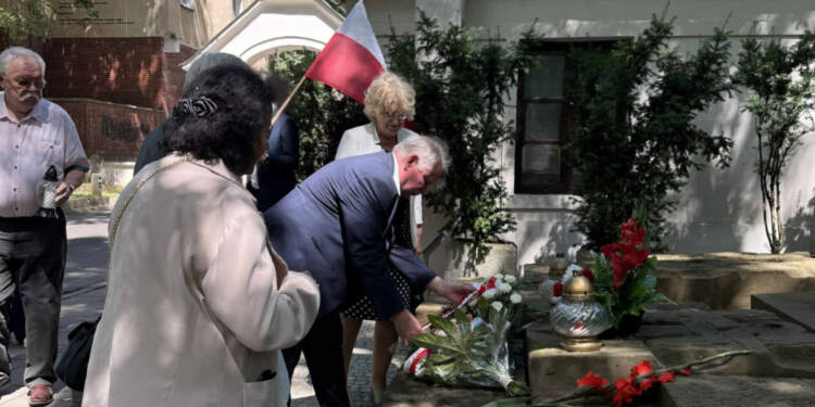 521654677 1166731925497566 8927330635435255370 n 2025 07 23 193929