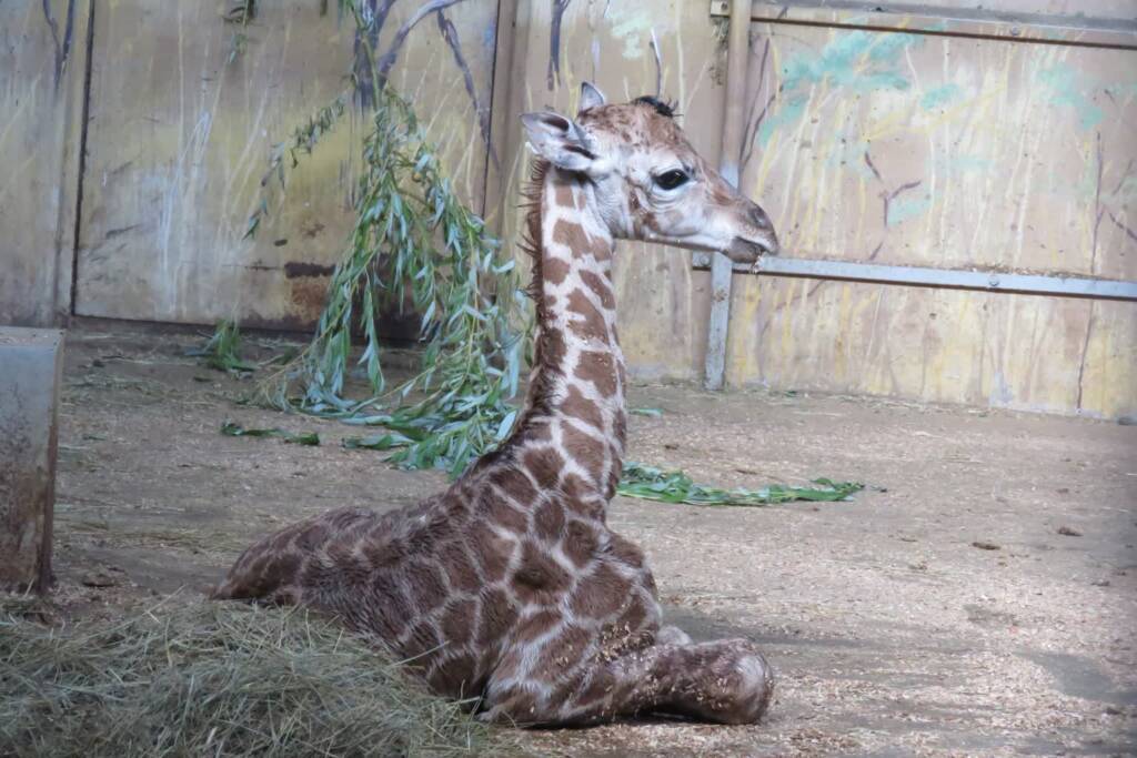 521873303 1213966310774750 6428079700373725273 n 2025 07 22 105403