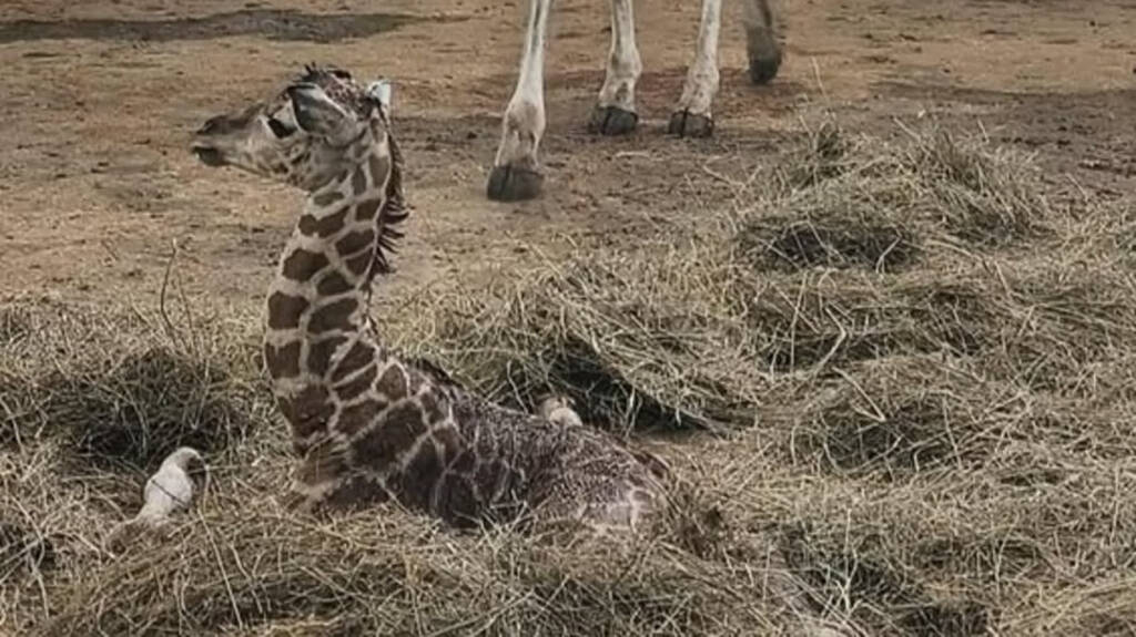 522219946 1213968744107840 3692820427311928367 n 2025 07 25 194622