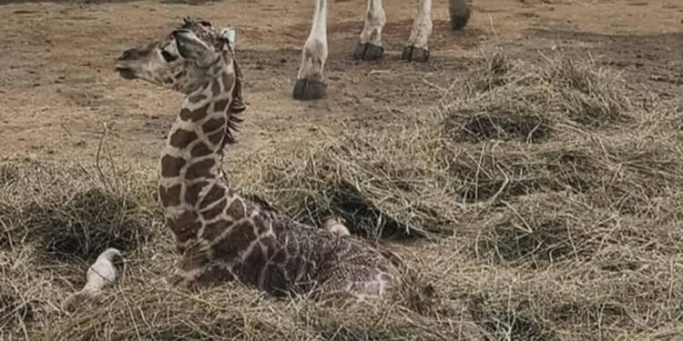 522219946 1213968744107840 3692820427311928367 n 2025 07 25 194622